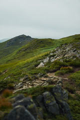 Mountain valley at daytime. Natural summer landscape.Colorful summer landscape in the Carpathian mountains.