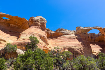 Fototapeta premium East Rim Arch and Bridge Arch at Rattlesnake Canyon in McInnis Canyons National Conservation Area, Colorado State, USA