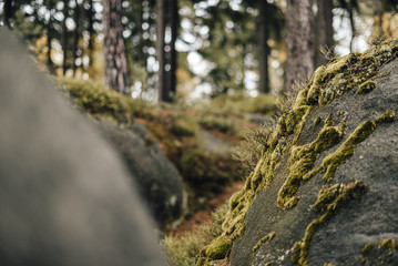 Rocks in protected area Broumovsko in Czech Republic