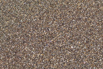 Shallow beach pebbles texture background
