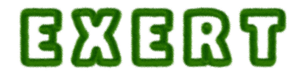 Exert - text written with grass