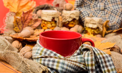 Mug of tea surrounded by scarf red background with fallen maple leaves and walnuts. Mug cozy aromatic tea beverage in scarf and treats. Cozy autumnal atmosphere. Warming beverage concept