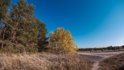 Herbstspaziergang im Wald