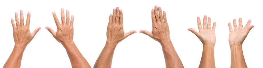 Fotobehang set of man hands isolated on white background © littlestocker