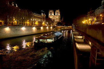 Fototapeta na wymiar Notre-Dame Cathedral,on the Île de la Cité,along the Seine River, Paris