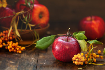 Autumn harvest red apples fruits and sea buckthorn berry on a dark wooden table background