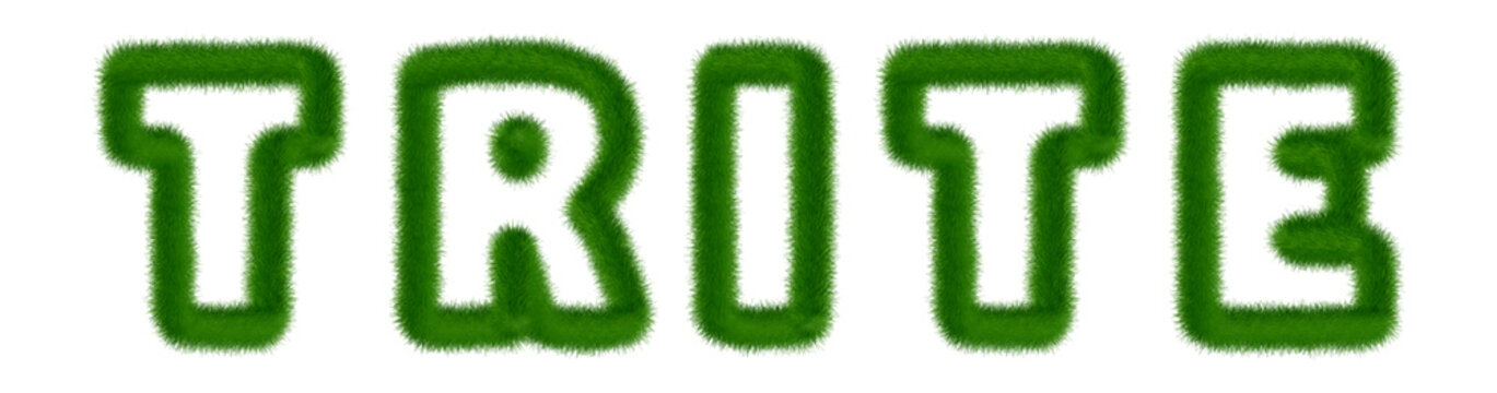 Trite - text written with grass