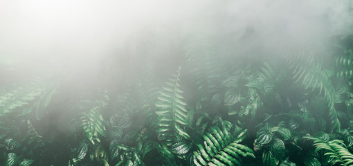 Vertical garden with tropical green leaf with fog and rain, Dark tone