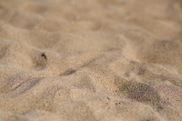Beach sand texture