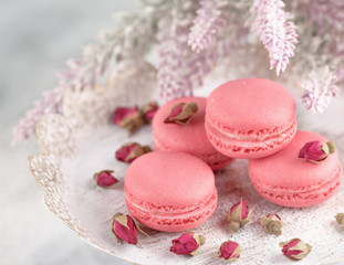 Pink macaroons on a vintage plate and dried flower buds. Pastel colored.