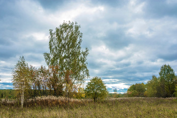 Obraz premium Beautiful autumn landscape on a cloudy day with a cloudy sky.