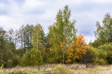 Beautiful autumn landscape on a cloudy day with a cloudy sky.