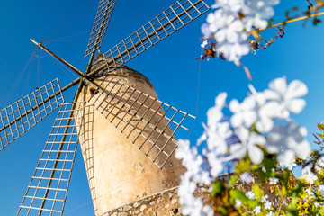 Historic windmill of Es Jonquet in old town of Palma de Mallorca, Mallorca, Balearic Islands, Spain - obrazy, fototapety, plakaty