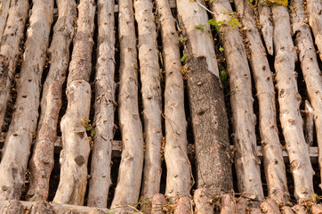 A pile of logs are brought down in a row for a wooden floor.