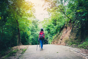 Obraz premium photographer woman trekking in the forest.
