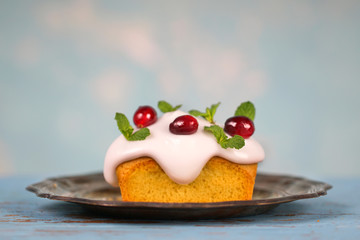 weihnachtlicher Kuchen mit Minze und Cranberries