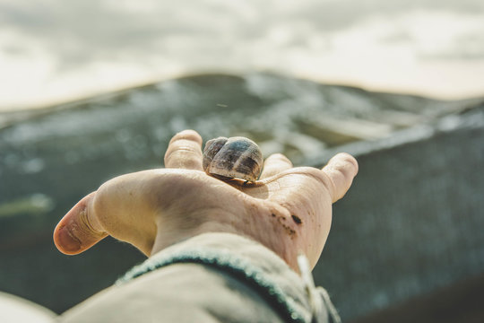 Crop person holding shell against mountains