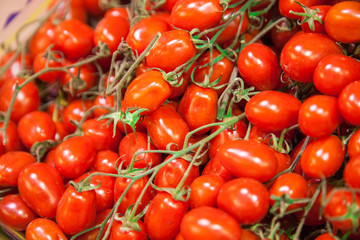 Ripe cherry tomatoes on a branch  close up