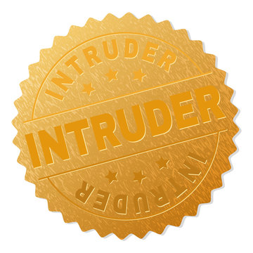 INTRUDER gold stamp reward. Vector gold award with INTRUDER text. Text labels are placed between parallel lines and on circle. Golden skin has metallic effect.