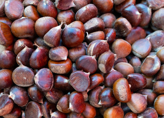 Chestnut background. Can be used for design, websites, interior, background, backdrop, texture creation, the use of graphic editors, illustration, to create seamless textures.