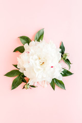 Beautiful, white peony flower on pink background. The texture of a peony. Flat lay, top view. 