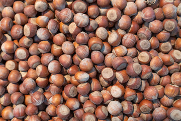 Hazelnut background. Can be used for design, websites, interior, background, backdrop, texture creation, the use of graphic editors, illustration, to create seamless textures.