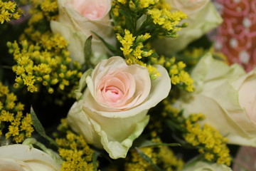 bouquet of roses