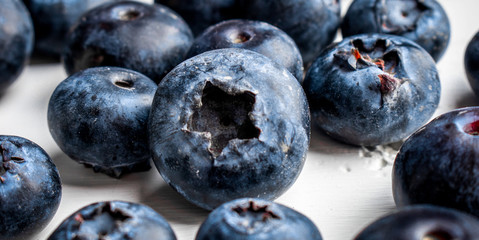Blueberry close up