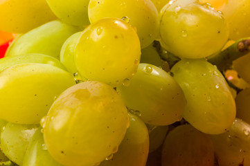large brush of green grapes in a red ceramic plate on a wooden background