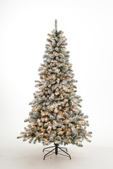 christmas tree isolated on white