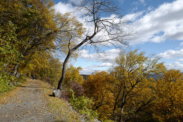 Fototapeta premium The scenery of autumn