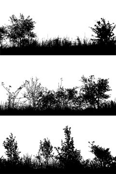 Realistic grass and bush with leaves silhouettes from nature on white background (Vector illustration).