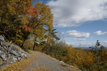 Obraz premium The scenery of autumn