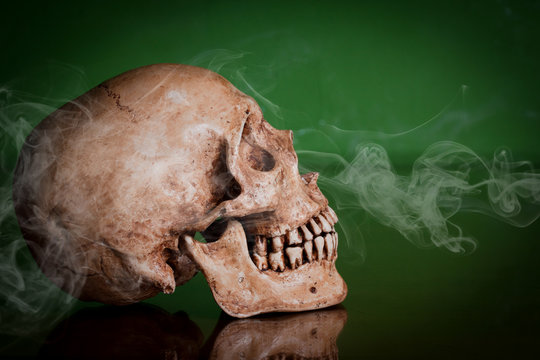 Weathered human skull with mirror image on green background, still life