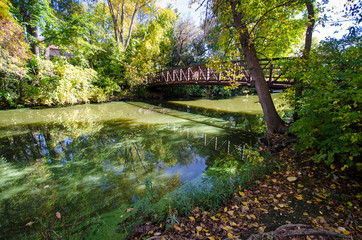 Pedestrian bridge overlooking a small creek at the Maple Grove Arboretum on a sunny autumn day.