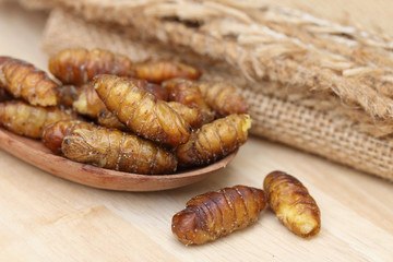 Close up of fried silkworm on wooden spoon, Traditional Thai food