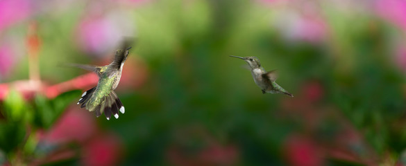 You Missed the No Tresspassing Sign