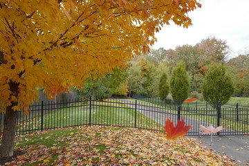 The scenery of autumn