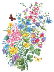 Big bouquet of different herbs and flowers with butterflies isolated on white