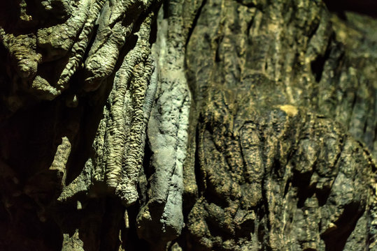 Close up stalactites on rock in cave