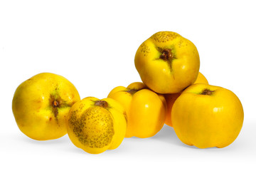 5 Quitten als Freisteller