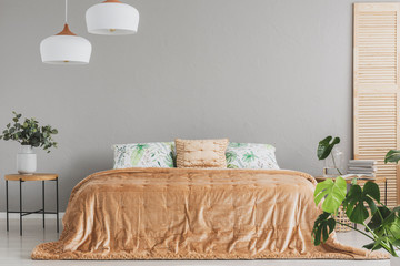 Peach colored duvet and pillow on comfortable king size bed in spacious bedroom interior with plants and white lamps above bed, real photo with copy space on the grey wall