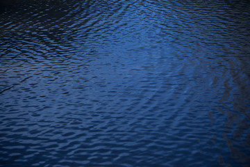 ripples on surface of water