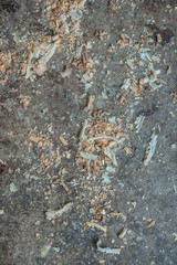 Wood sawdust background. Sawdust floor texture. Top view. Sawdust texture, background of brown sawdust