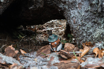 Kleiner Wicht versteckt in einer Baumhöhle