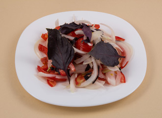 white plate with tomato and onion salad cut into thin slices