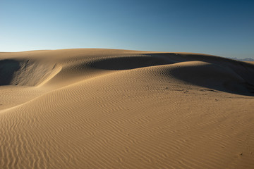 Fototapeta na wymiar Dunes Delta de Ebro