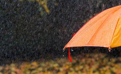 Rain drops on bright orange umbrella under heavy rain in autumn park, close-up. Rainy fall seasonal...
