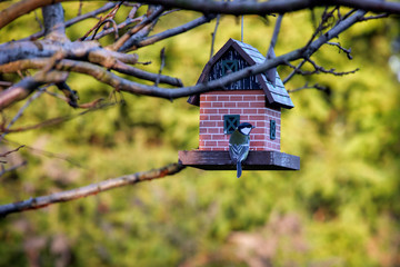 Bird Feeders
