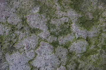 surface of an old wall with cement plaster grunge background texture